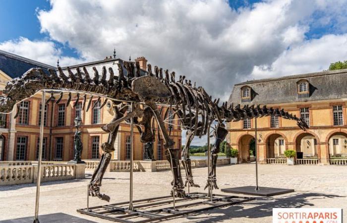 Vulcan, the largest dinosaur sold at auction this Saturday, November 16 in Dampierre-en-Yvelines