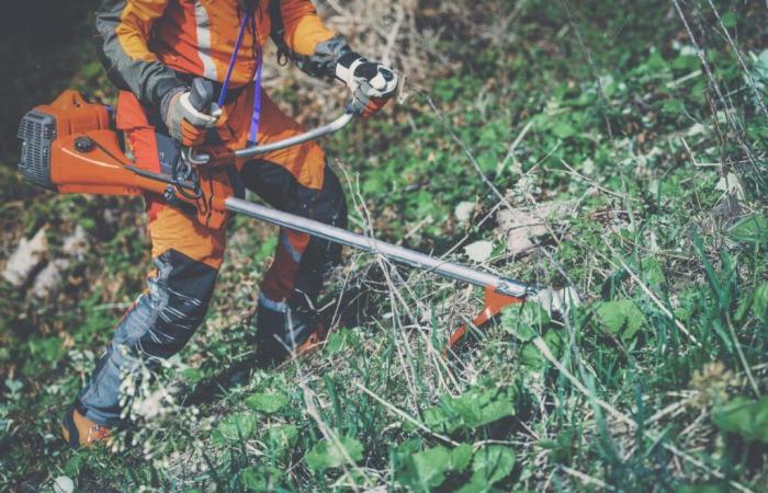 it’s time to clear brush to protect yourself from fires