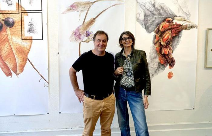 “There are no bad plants”: Gers agronomist Alain Canet and illustrator Florence Gendre deliver their “In Praise of the Undisciplined”