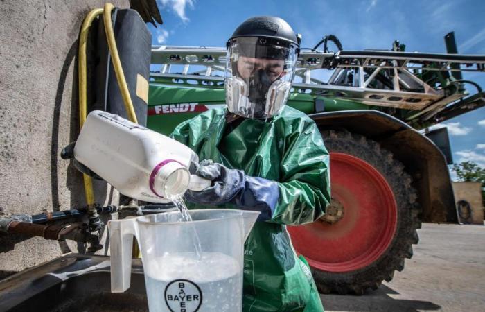 banned pesticides exported from France? The Council of State seized