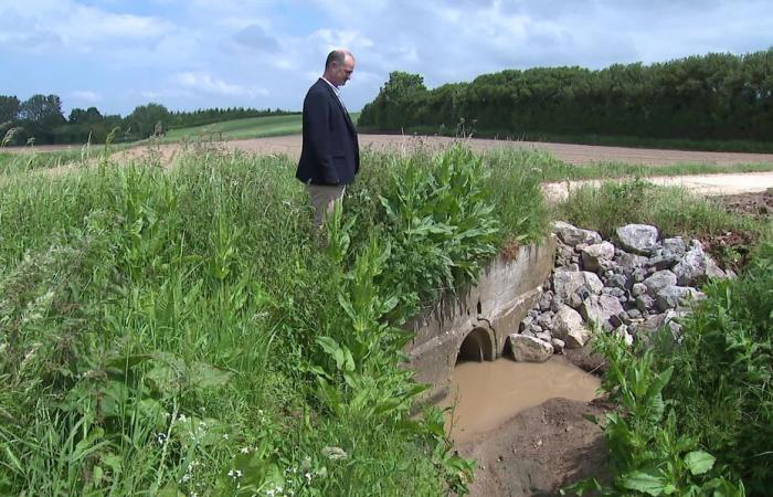 floods of the Hem, an exasperated mayor