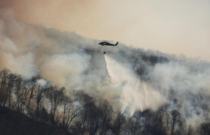 the New York region in the grip of a severe drought