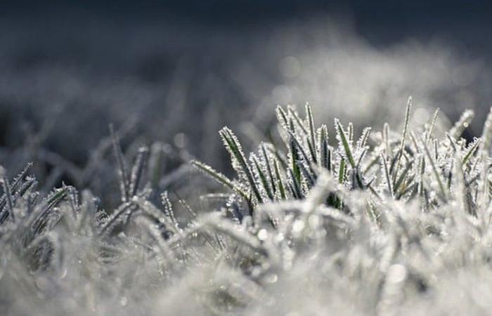 Weather: the cold hit Aveyron this Wednesday morning, negative temperatures recorded in the department