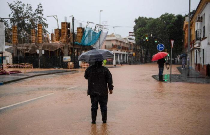 Malaga, Tarragona and Valencia on red alert for new torrential rains, two weeks after deadly floods