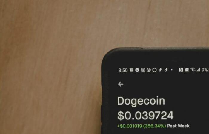 $DOGE Sees Nearly 75,000 New Wallets in One Week, Fueling 140% Price Surge