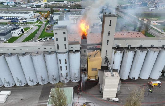 Fire in a grain dryer in Beaune: around forty firefighters mobilized