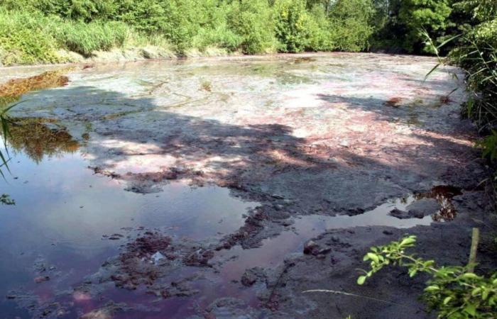 Latex dumped by mistake in the Meuse in France: Belgian authorities alert the population