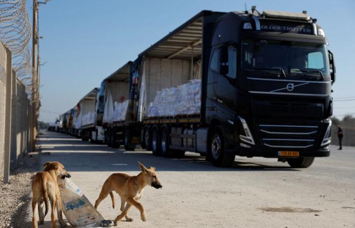 Gaza Strip | Why humanitarian aid is trickling in