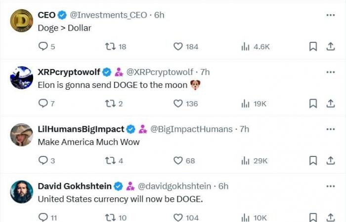 Elon Musk Makes DOGE Army Erupt With Excitement With D.O.G.E. Tweet