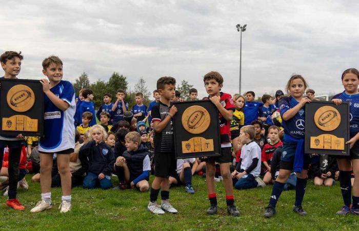 Albi. More than 300 young rugby players gathered at Guitardié