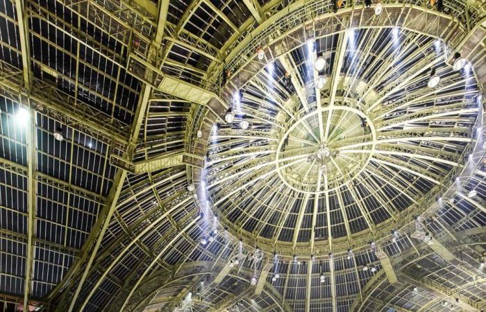 The Grand Palais unveils a dizzying program for its reopening