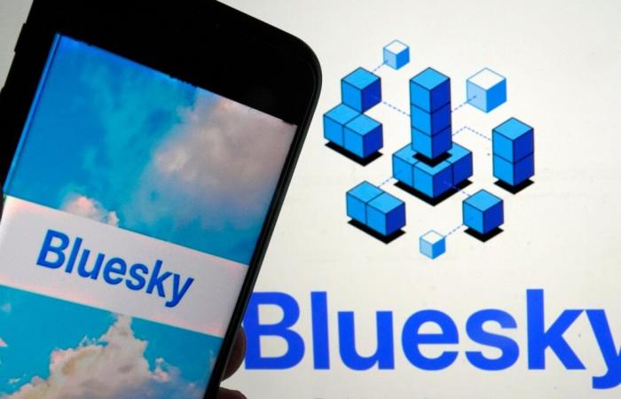 Bluesky adds 1 million users after US election as users ditch X | Social Media