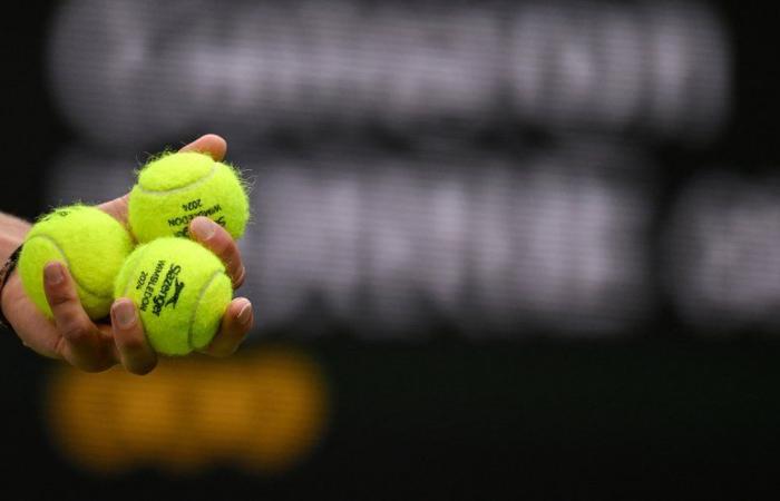 Tennis: due to “extreme weather conditions” in Malaga, the BJK Cup match between Poland and Spain postponed