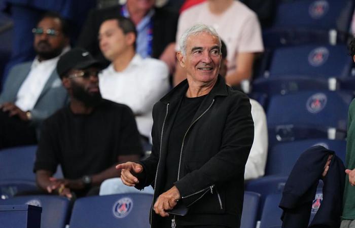 Raymond Domenech attacks ASSE again