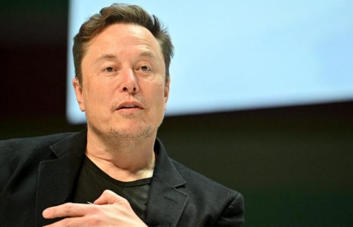 Save $2,000 billion: “The goal set by Elon Musk is unrealistic”