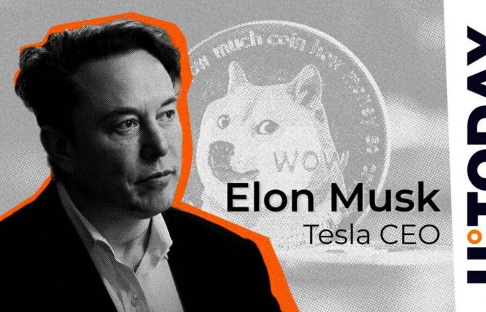 Elon Musk Makes DOGE Army Erupt With Excitement With D.O.G.E. Tweet