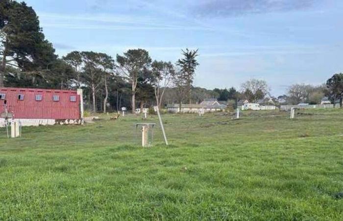 In Côtes-d’Armor, work on this “football field of discord” is still at a standstill