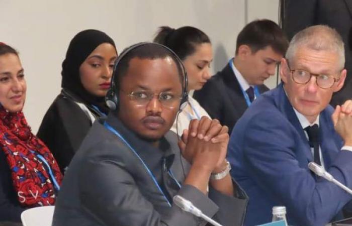 COP29: Chad calls for urgent doubling of climate financing