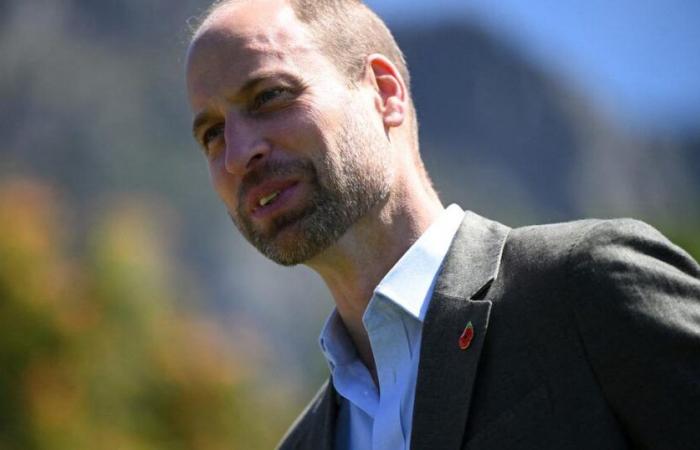 Prince William named 'sexiest bald man' of 2024