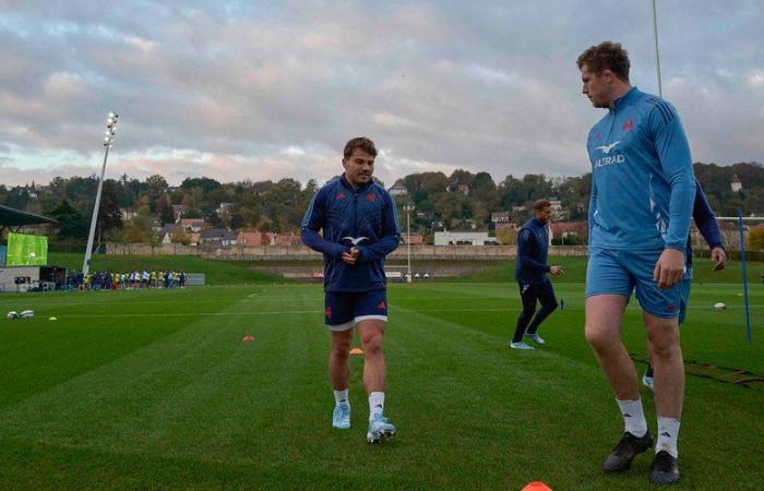 XV of France – Antoine Dupont there, Thibaud Flament too: the probable line-up of the Blues for New Zealand