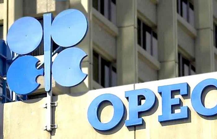 In OPEC's monthly report: Oil demand growth forecasts down slightly