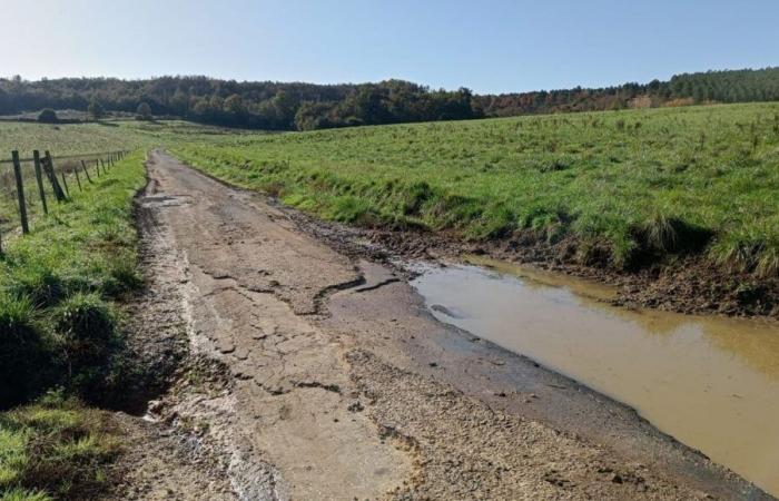 Residents of Dordogne denounce the state of the road damaged by the delivery of tonnes of carrots