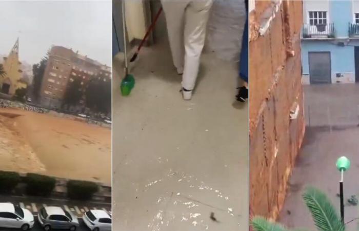 Last minute of the dana, live | More than 3,000 evicted in Malaga, where the new dana forces the AVE with Madrid to be cut and floods the Clinical Hospital | Spain