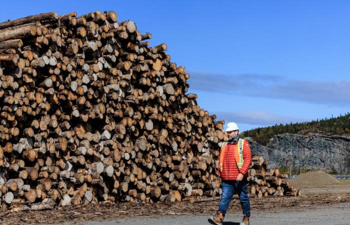 Lumber | The crisis could get worse