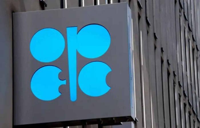 OPEC reduces its demand forecasts for 2024 and 2025, prices still weighed down