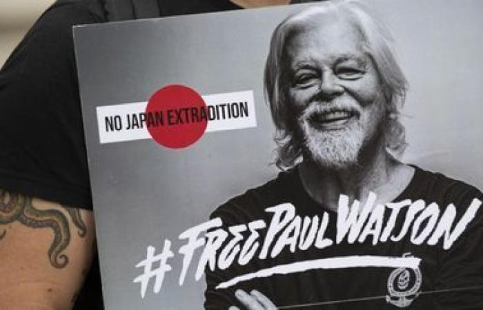 Detention of environmental activist Paul Watson in Greenland extended until December 4