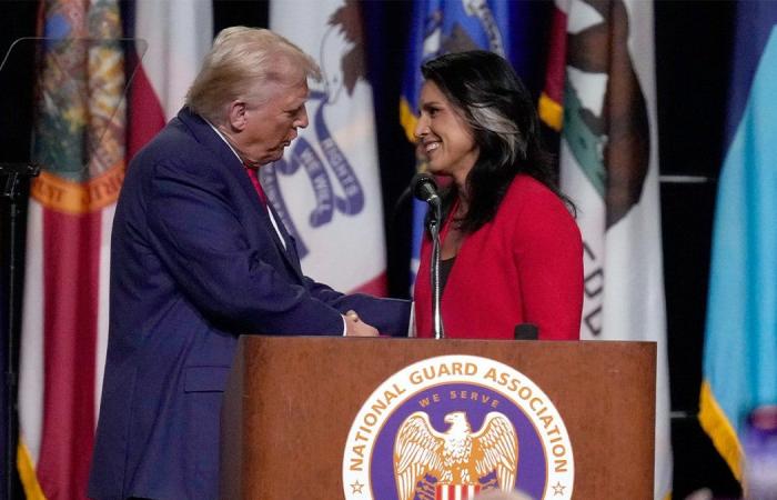 Trump appoints Tulsi Gabbard as director of national intelligence