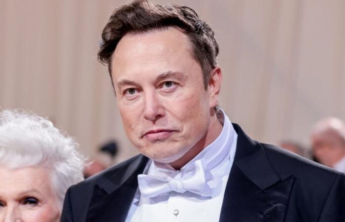 Elon Musk brutally attacks French people after riots: “It’s sacrilege”