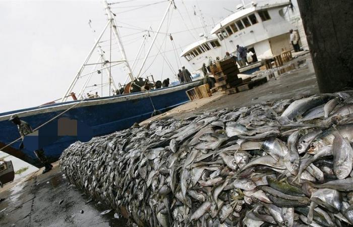 THE EU “SUNKS” SENEGALESE WATERS