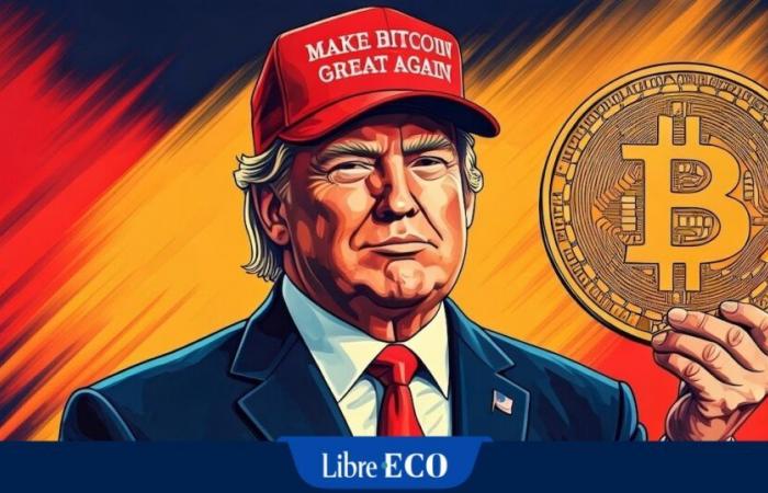 Record after record for bitcoin: concretely, what can Donald Trump do for cryptocurrency?