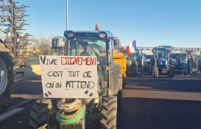 Hérault farmers plan to mobilize next week