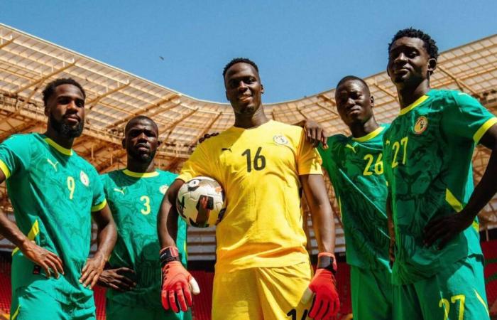 The Lions pose with the new Senegal home and away jerseys for 2025 (Photos)