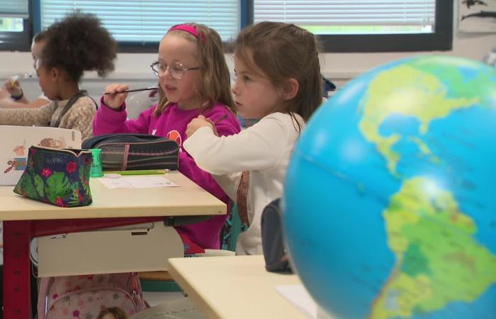 Dozens of postcards arrive every day at the Plouarzel school, “it helps us learn about the world”