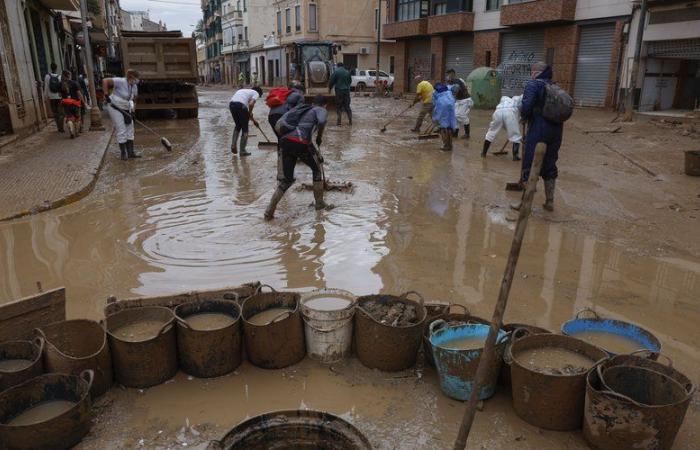 Floods in Spain: fake Red Cross members asking for donations, data theft with fraudulent messages, authorities sound the alarm