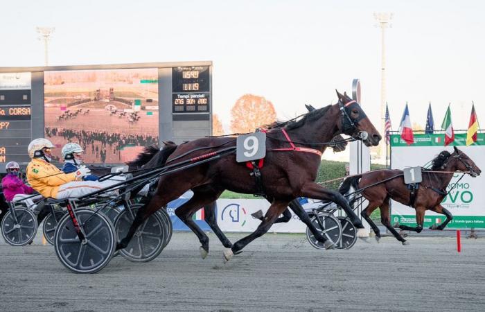 Prix ​​Pierre Plazen et Guy Deloison: Un match France