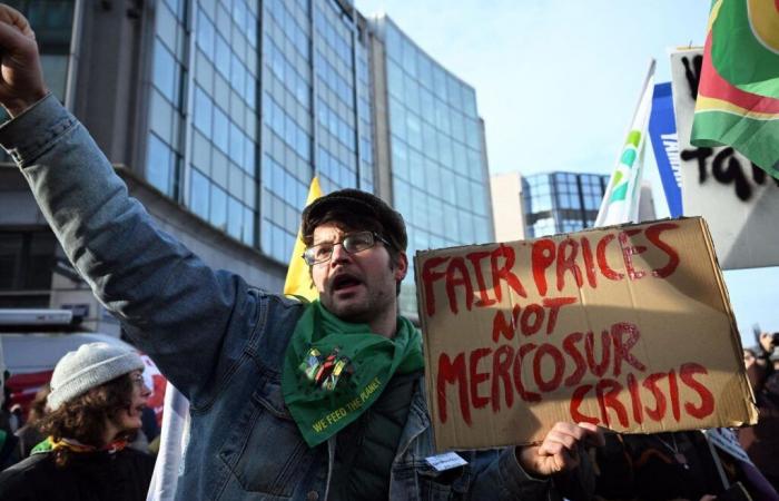 In Brussels, France says “no” to free trade with Mercosur