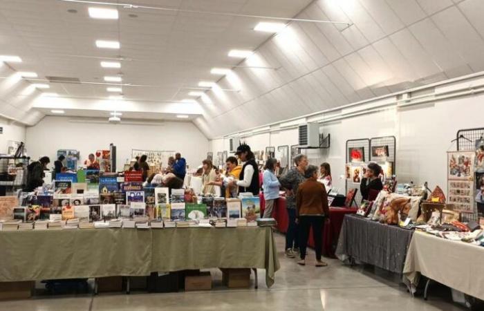 Roullet-Saint-Estèphe: the book and creator fair has taken off