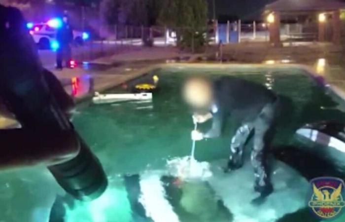 ON VIDEO | Rescue in extremis: police extricate a driver from a vehicle plunged into a swimming pool