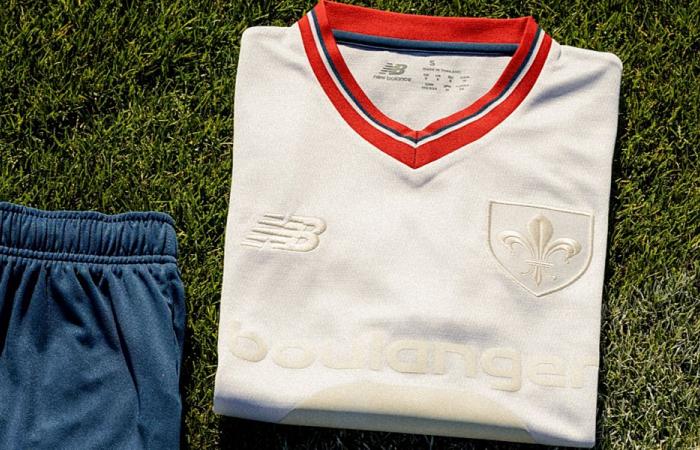 Survey: 80th anniversary jersey, a mixed reception among LOSC supporters