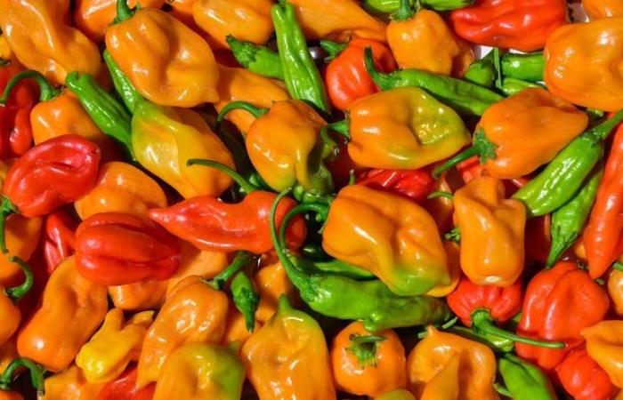 why do the French eat more and more spicy foods?