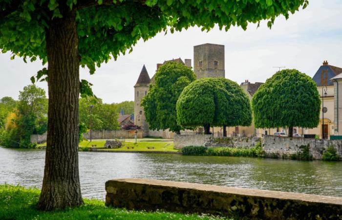 Seine-et-Marne: a 3-year-old girl falls into the water, her mother tries a desperate gesture to save her but the outcome is terrible