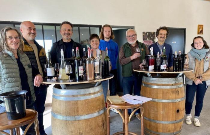 what they think of the 2024 vintage of Lot-et-Garonnais organic wines