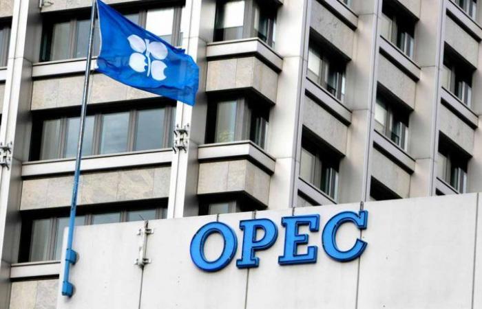 OPEC revises its growth forecasts downwards