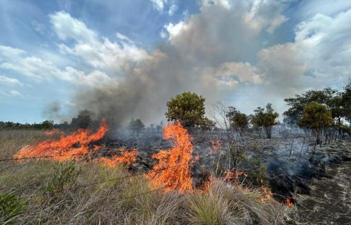 A violent fire devastates the vegetation near the Koné airfield