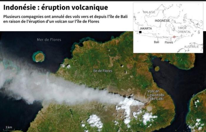 Flights canceled in Bali due to volcanic eruption – 11/13/2024 at 1:24 p.m.