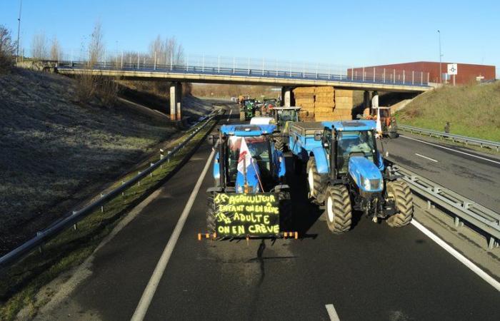 Anger of farmers: FNSEA calls for national mobilization from Monday, November 18